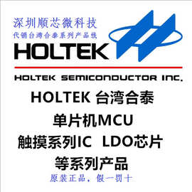 一级代理 HT台湾合泰 LCD驱动晶圆 HT1620/DICE裸片,单价含17%税