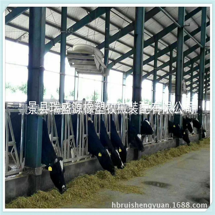 牛颈枷 奶牛自锁式定位栏牛颈枷 畜牧养殖设备挤奶机配件厂家供应