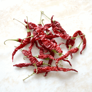 ���G�l�t����   �S���N�� ���Ѹɼt���� ���G�l�r������