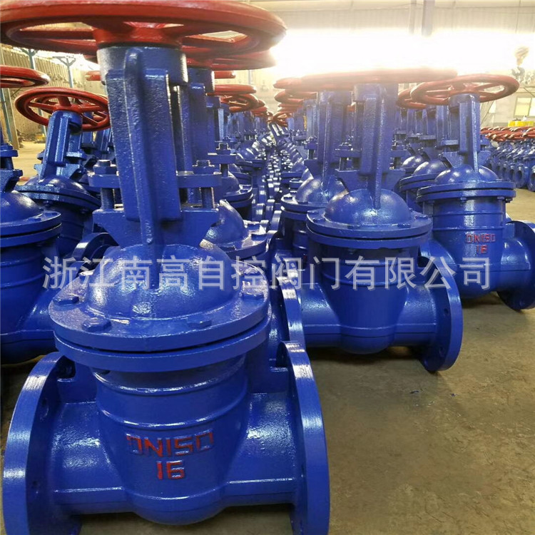 南高供应Z41T-10、Z41W-10 DN50  型铸铁材质