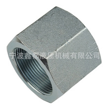 ���D���A��׼����ORFS���ݼy��ĸ NB200-F