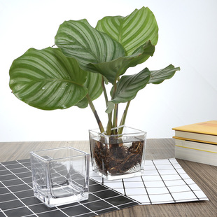 ���ⲣ����ƿ �Wʽ���β廨��͸�����ܬF�����s�͏d�[�����⻨��