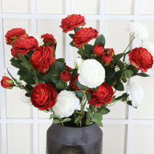 �F؛���l���^������ĵ������õ�����콁�� ��c�Ƶ��bٻ�