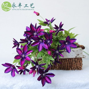 ��Ʒ��֦���滨���F��ɏ����ֲ����ܻ�c��̨�·���b���