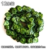 81 leaves xigua small strip