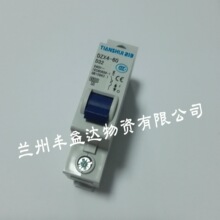 天水二一三电器小型断路器 DZX4-60 10A/1P D型