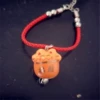 Red rope orange cat