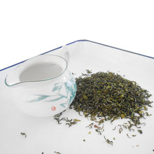 2026山东日照绿茶 高山云雾绿茶绿香茶批发 炒茶绿茶 500g散装茶