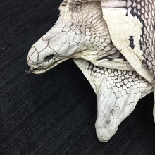 ƤI^RƤϡƤֹDIYߙnSֱN