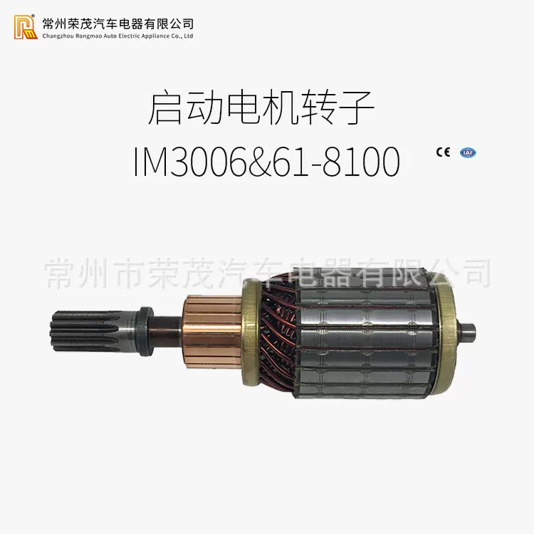 适配电机转系61-8100 or IM3006 12V启动电机转子切割机配件