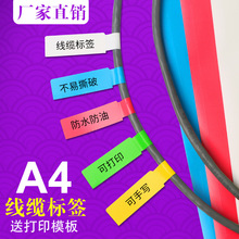 �S�t�{�G�׾W���˺� �C���������� ���|�˺��N�� P�;��|�˺�