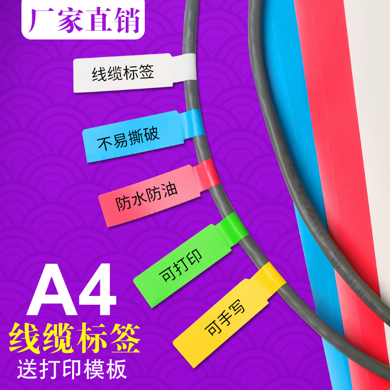 黄红蓝绿白网线标签 机房布线线标 线缆标签贴纸 P型线缆标签