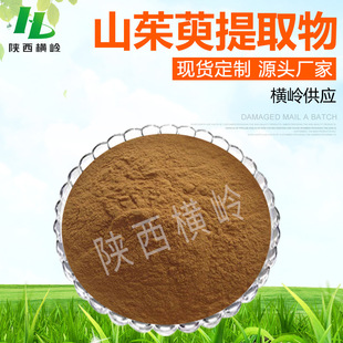 ɽ������ȡ�� 10%���R�X�� �S�ҹ��� 100g/�� �R�X�շ� HPLC���]