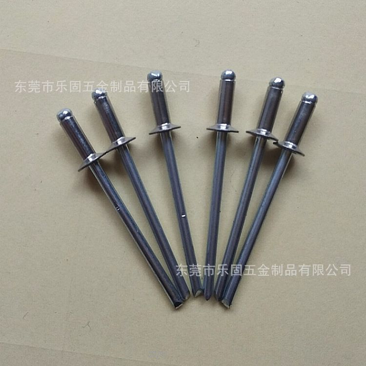 平头不锈钢抽芯铆钉沙拉头不锈钢抽芯拉钉不锈钢沉头铆钉3*8