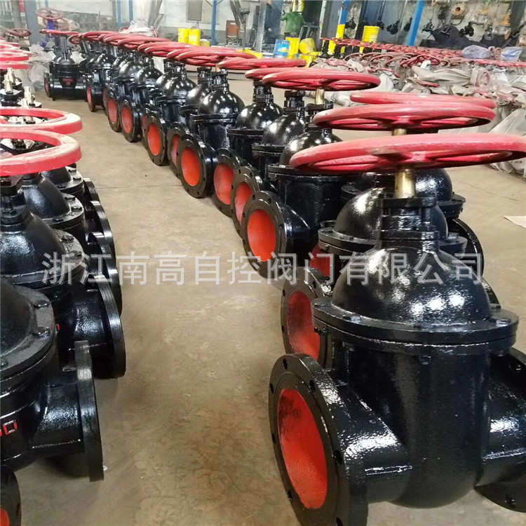 铸铁暗杆闸阀Z45T-10 DN200