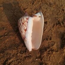���l���� ɽˮ�� �u�� �~���쾰�ӼҔ[�ODIY ��̨�[��