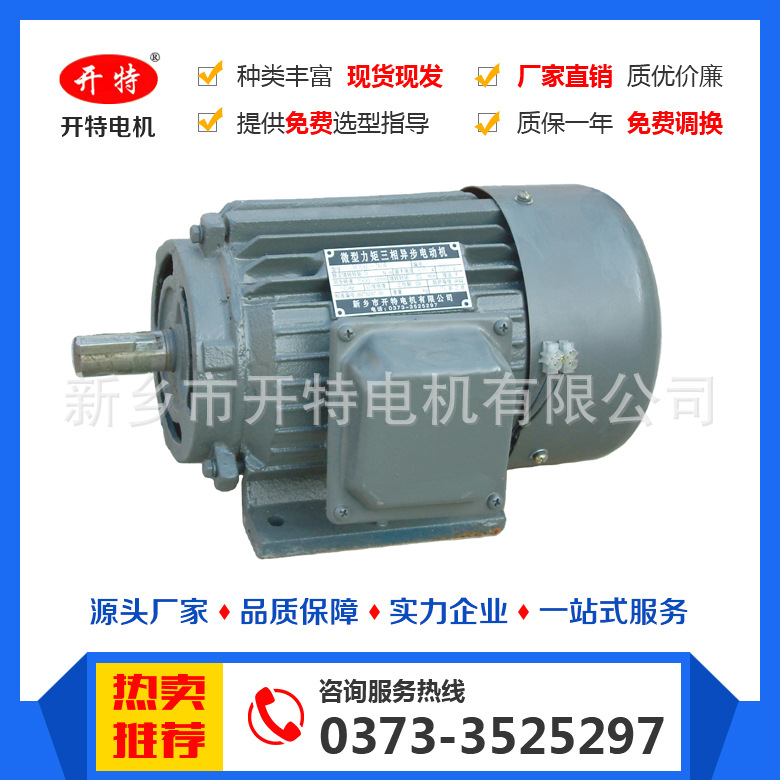 YLJW90-2.5/8力矩电机厂家20年品质值得信赖耐高温9000转高频振动
