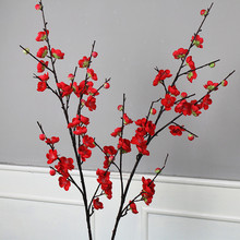 ��Ʒ�D÷�t÷���滨���̴���b��һ�÷����֦��c�����S�t��