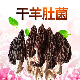 ��Ǿ���؛һ�����l����خa����Ƭ����㹽Ģ���Ҝ�����Ǿ����l