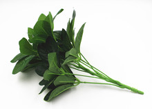 ٻGֲbֲ_ľľֲ~~