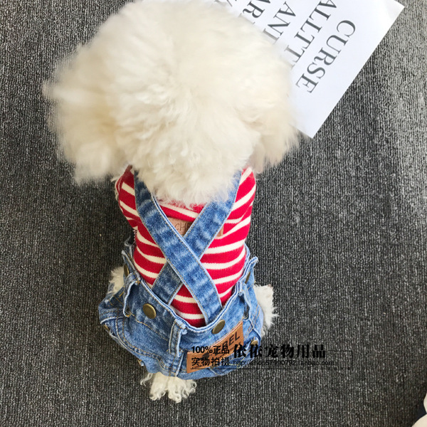 Denim autumn overall