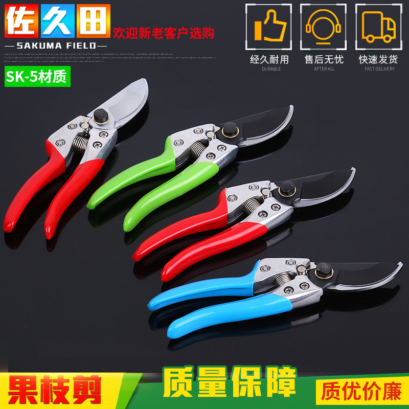 果枝剪 鸟嘴剪枝果枝剪果树枝剪园林绿化修花剪批发