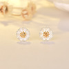 巧兰轩 Universal earrings, fresh jewelry solar-powered, set, Korean style, wholesale