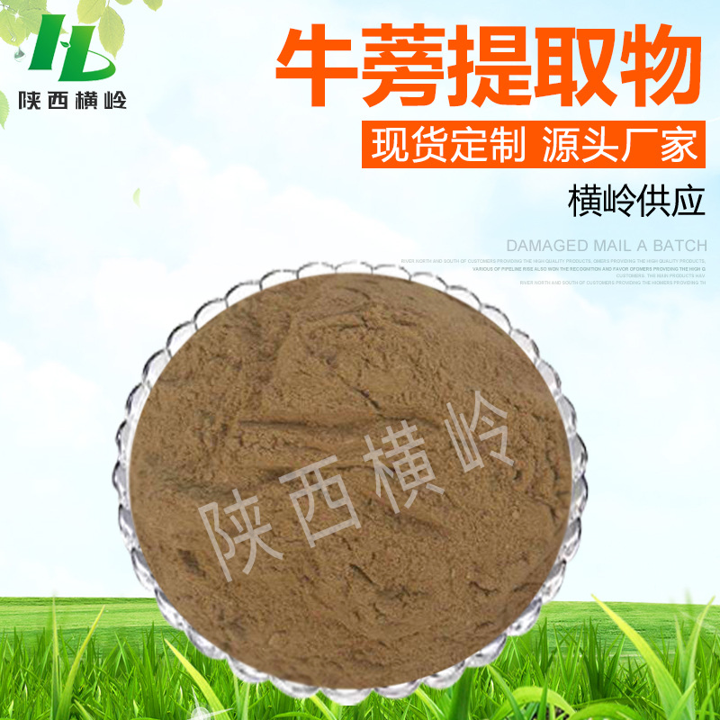 牛蒡子甙 50%含量 牛蒡子提取物 1KG起订 牛蒡子苷 厂家供应 包邮