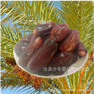 ���ʺ�Ҭ�����lɢ�b ���w��Ҭ��500��Date��ʳ �LҬ�����l �ڗ�