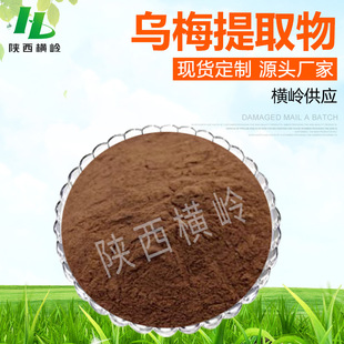 ��÷��ȡ�� 30:1��ȡ��÷�� SC�S�� ��÷��ȡ ˮ�� 1KG��ӆ ���]