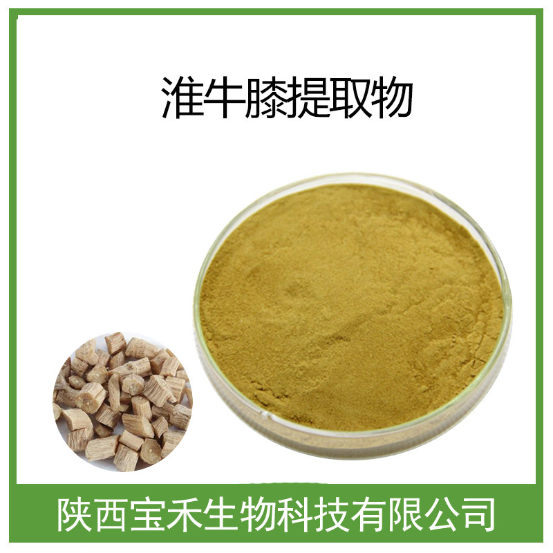 淮牛膝提取物 10：1 淮牛膝粉 淮牛膝浸膏粉淮牛膝提取液 SC工厂