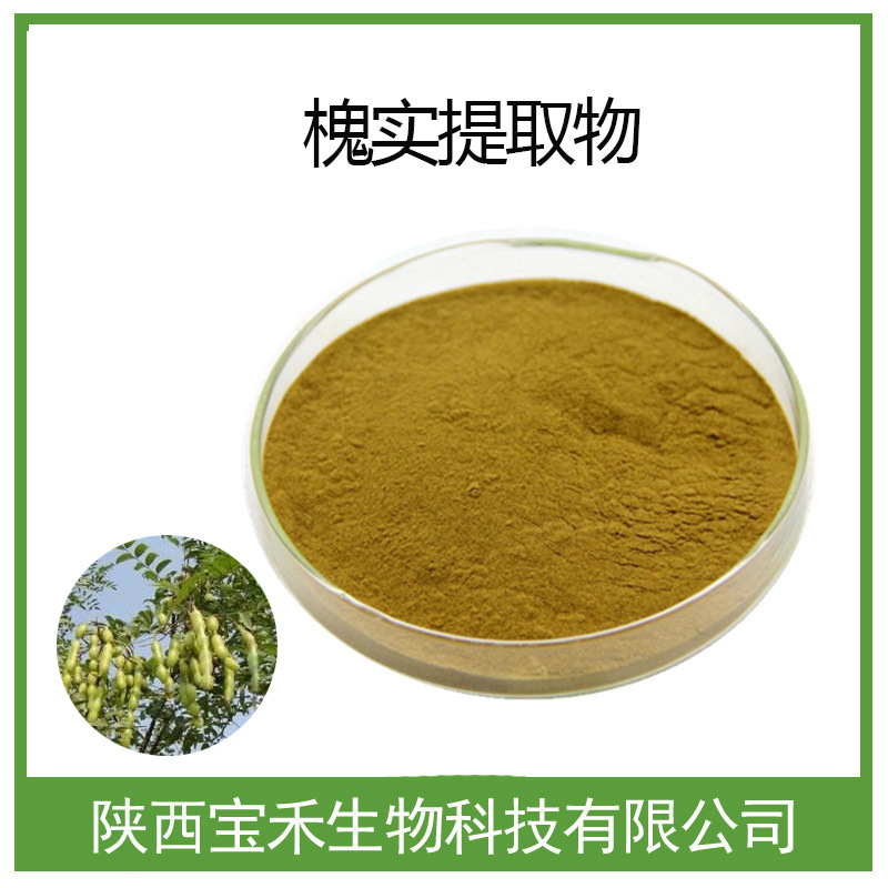槐实提取物10:1 槐实浸膏粉 槐实粉 槐角提取液 槐角提取物槐角粉