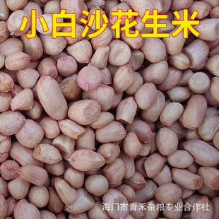 ������ С��ɳ������ ʳ�û�����  ե�ͻ����� ���͸� ����