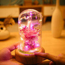 许愿流光瓶小夜灯 创意蓝牙音响LED氛围灯 微景观永生花节日礼物