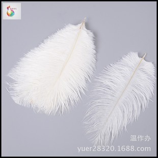 ȾɫС��B��ë15cm�r�BëƯ����Bë���NҎ��Ҏ�ɫ�F؛