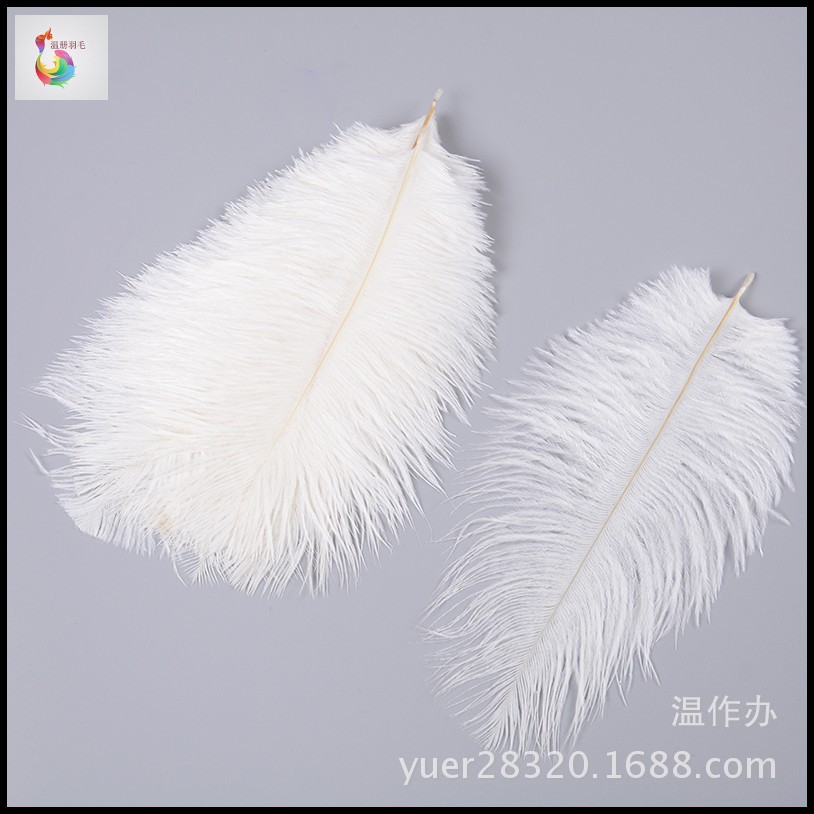 dyeing Ostrich Feather 15cm Ostrich feather Bleach Ostrich Various Specifications routine colour goods in stock