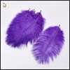 Dyeing little camel bird feathers 15cm ostrich hair bleaching camel bird hair various specifications of various specifications conventional color spot