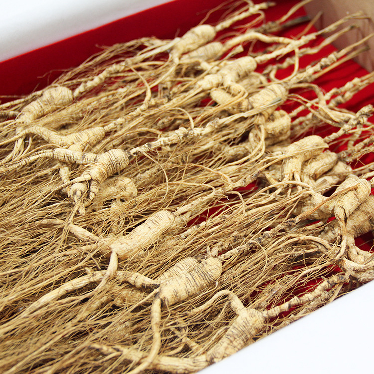 林下参东北长白山人参散货单支装泡酒煲汤跑江湖食品真空装林下参