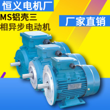 高效节能铝壳MS100L2-4交流电动机3KW 千瓦电机380V220V电动机