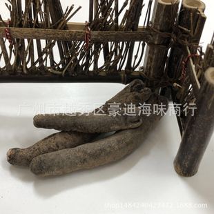 �S�����l����� �t���� ����� �t�����ɺ��� �Ƶ���