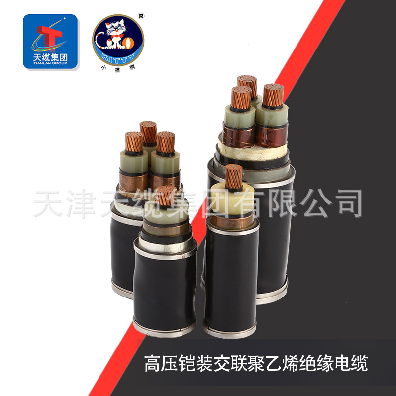 小猫牌高压铠装交联聚乙烯绝缘电缆YJV22 YJV62