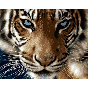 �羳һ�����l�����ͮ�diy�o�����l����Shopify���uͨEBY���R�dWIS