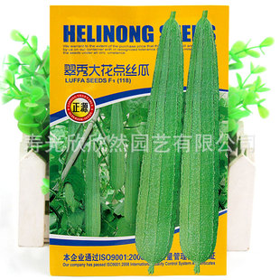 ������c�z�ϷN�� �߮a�����ز� ��Ƥ���c�\�� ��z�ϷN�����l