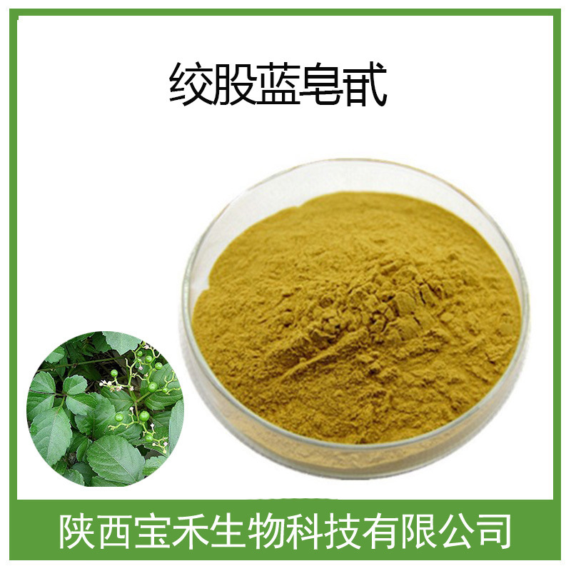 绞股蓝皂甙 98%  绞股蓝提取物 绞股蓝皂苷 100g装 SC工厂现货