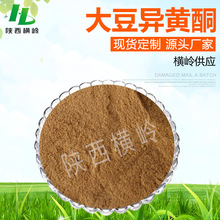 大豆异黄酮40% 大豆提取物 大豆异黄酮粉 横岭供应 量大优惠 包邮