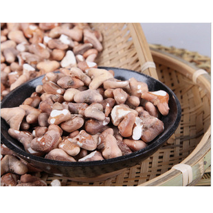 ���r΢ɽ������� ��؛�����ɢ�b����ʏS�����l�F����������