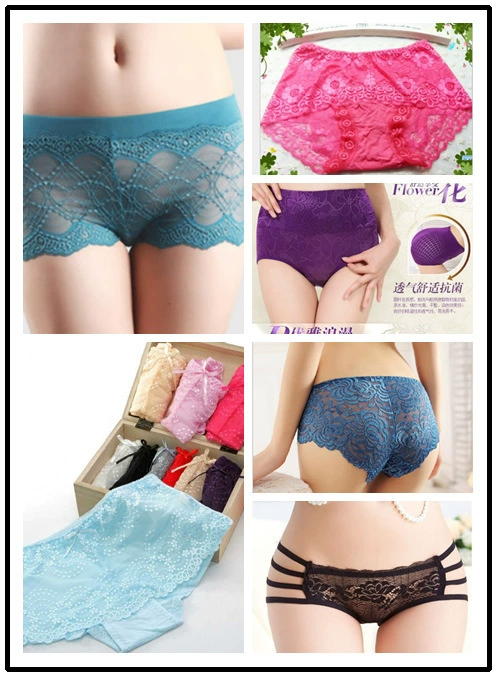 Multicoloured pants, underwear, wholesale
