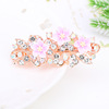 Hairpins, ponytail, hairgrip, hairpin, hair accessory, Korean style, diamond encrusted