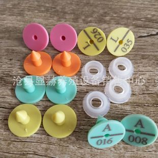 ���ö��� �ö��� ���Ӷ��� ���ö�̖ �ö����� �Î��ֶ��� �Ø�ӛ