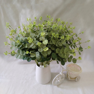 �ߙn����4��16�^�zӡ���ȼ������X�~ �廨ֲë��ɫ���X�ݷ���ֲ��